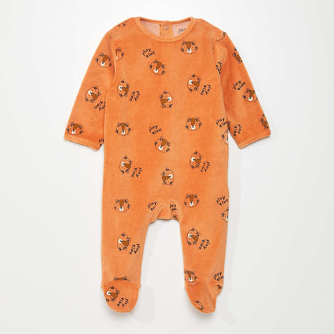 Orange 'tigre'