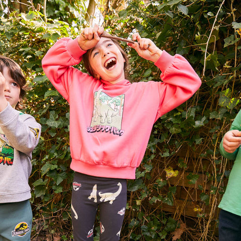 Sweat à capuche 'Jurassic Park'