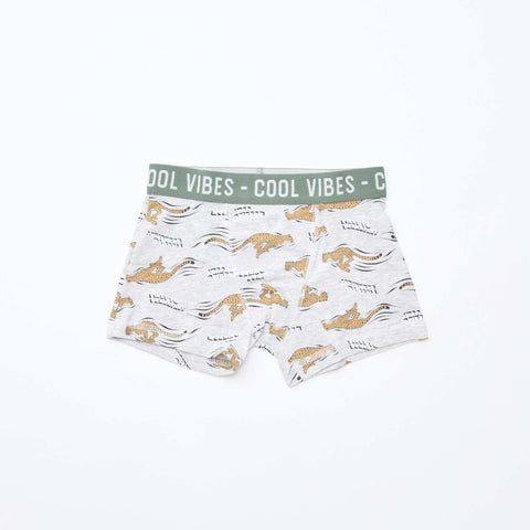 Lot de 3 boxers stretch