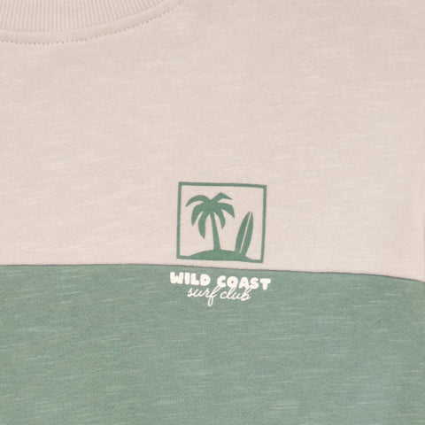 Sweat en french terry esprit color block