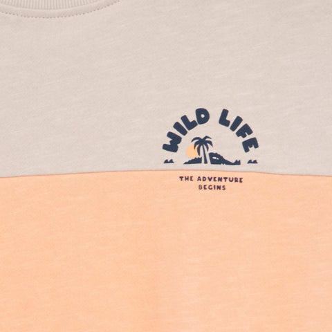 Sweat en french terry esprit color block