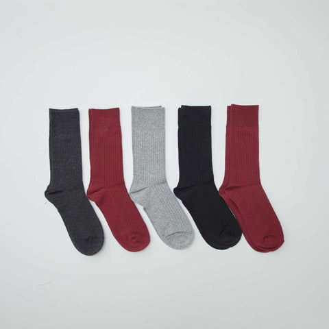 Lot de 5 chaussettes côtelées