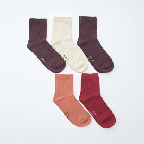 Lot de 5 paires de chaussettes