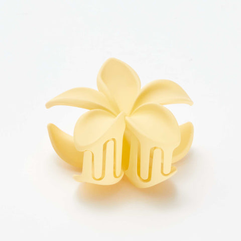 Pince crabe en fleur