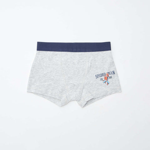 Lot de 2 boxers 'Spiderman'