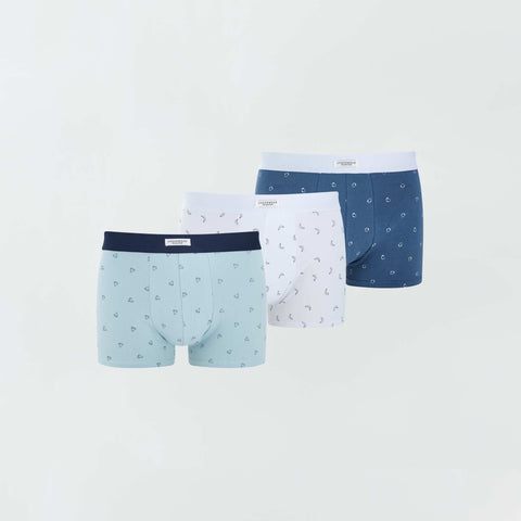 bleu/blanc/fruits