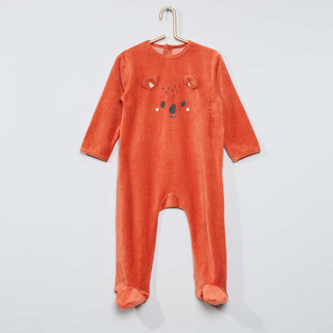 orange koala