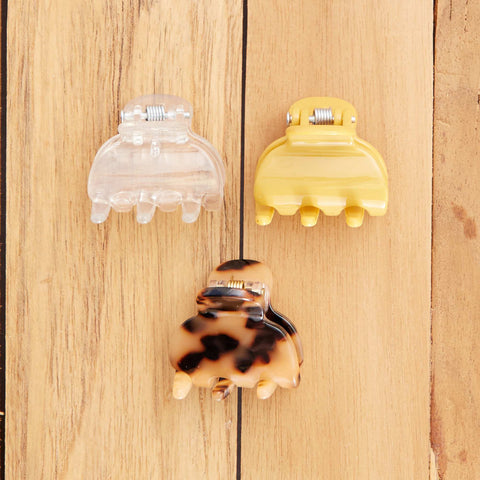 Lot de 3 pinces crabes