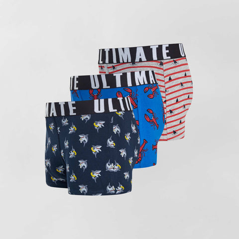 Lot de 3 boxers fantaisie