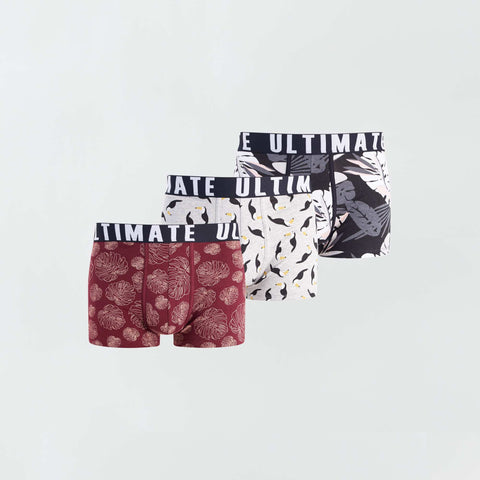 bdx/gris