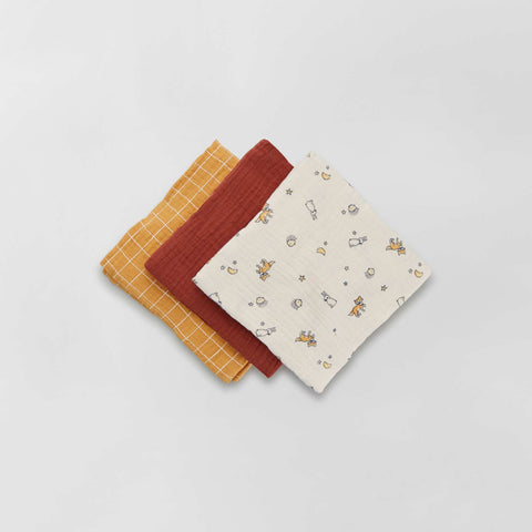 renard/carreaux