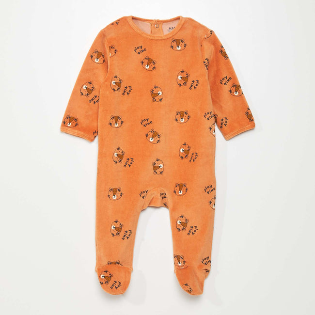 Orange 'tigre'
