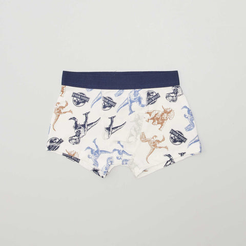 Lot de 2 boxers 'Jurassic Park'