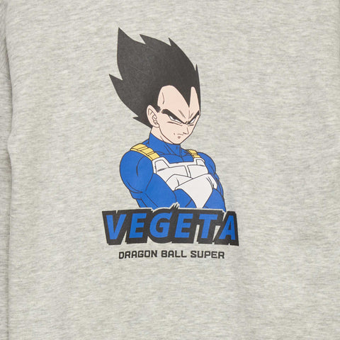 Sweat à capuche 'Dragon Ball Z'