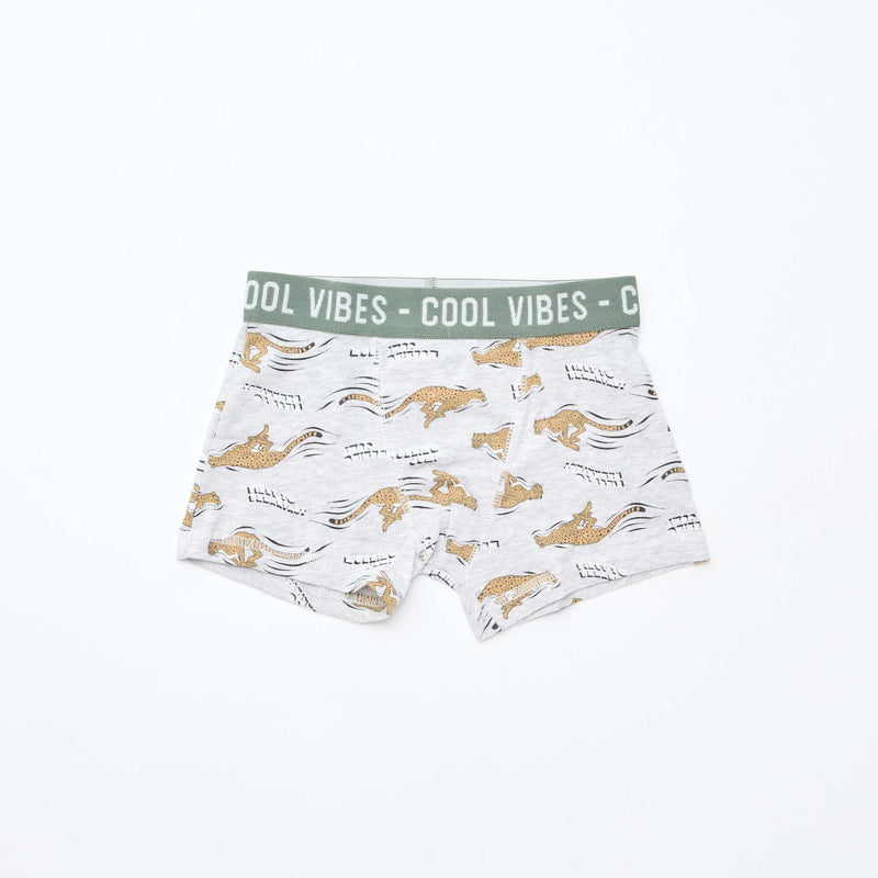 Lot de 3 boxers stretch