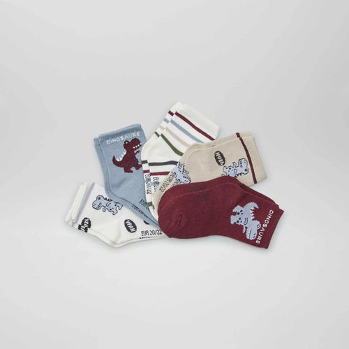 Lot de 5 paires de chaussettes