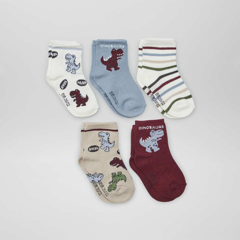 Lot de 5 paires de chaussettes