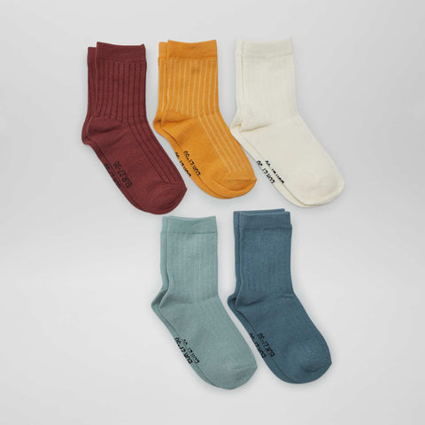 Lot de 5 paires de chaussettes côtelées