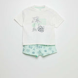 Blanc/vert