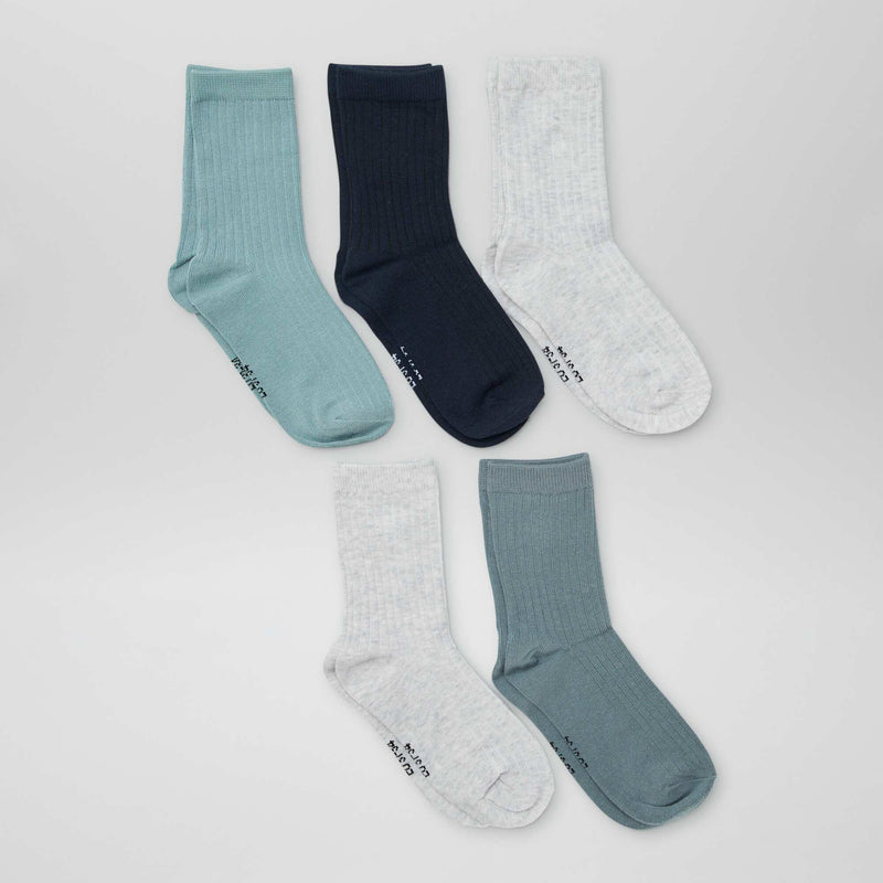 Lot de 5 chaussettes unies