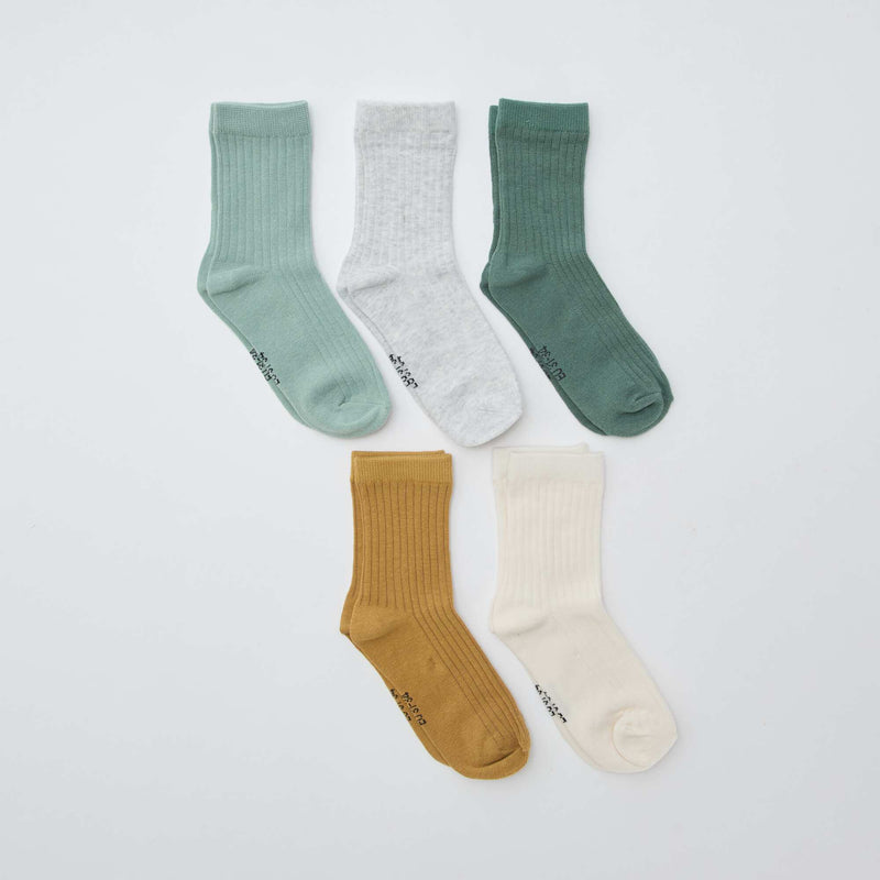 Lot de 5 chaussettes unies