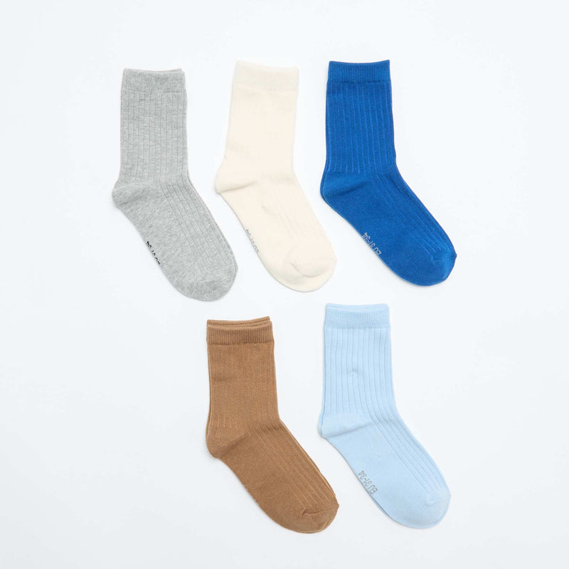 Lot de 5 chaussettes unies