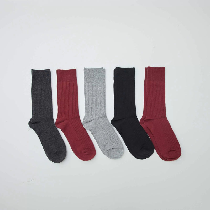 Lot de 5 chaussettes côtelées