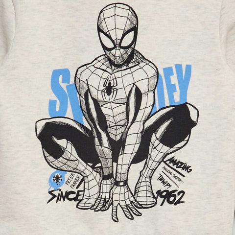 Sweat à capuche 'Spiderman'