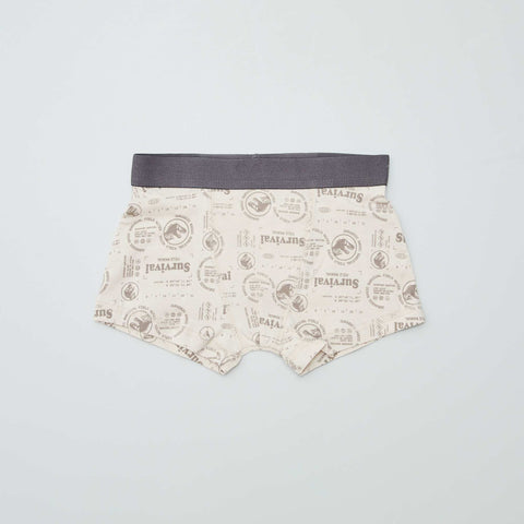 Lot de 2 boxers 'Jurassic World'