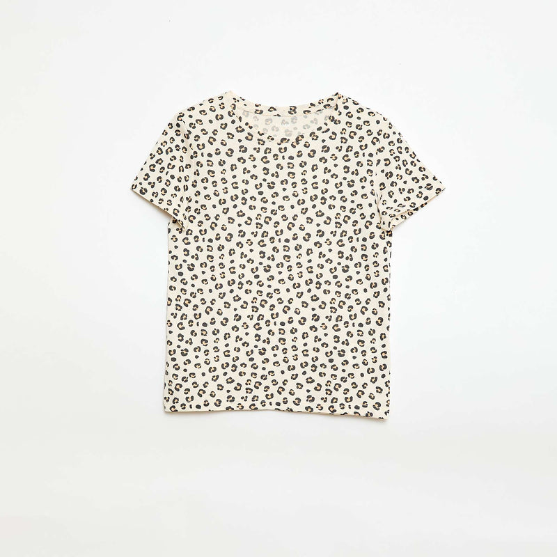 leopard