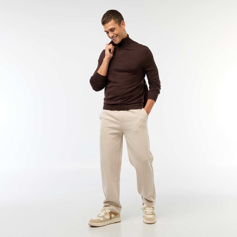Pull col roulé uni