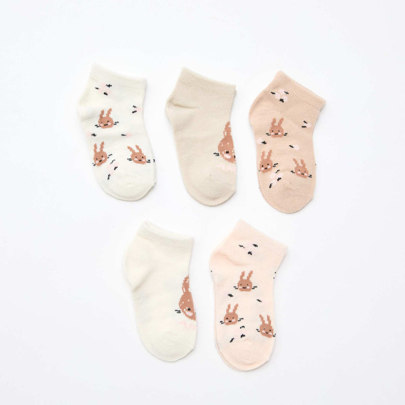- Lot de 5 paires de chaussettes invisibles