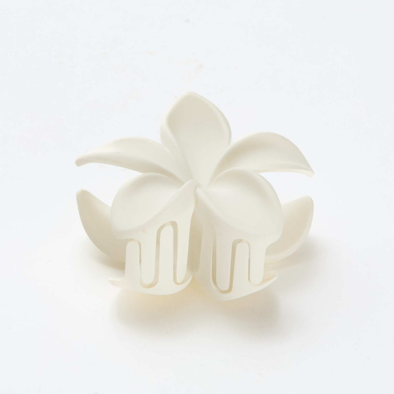 Grande pince crabe forme fleur