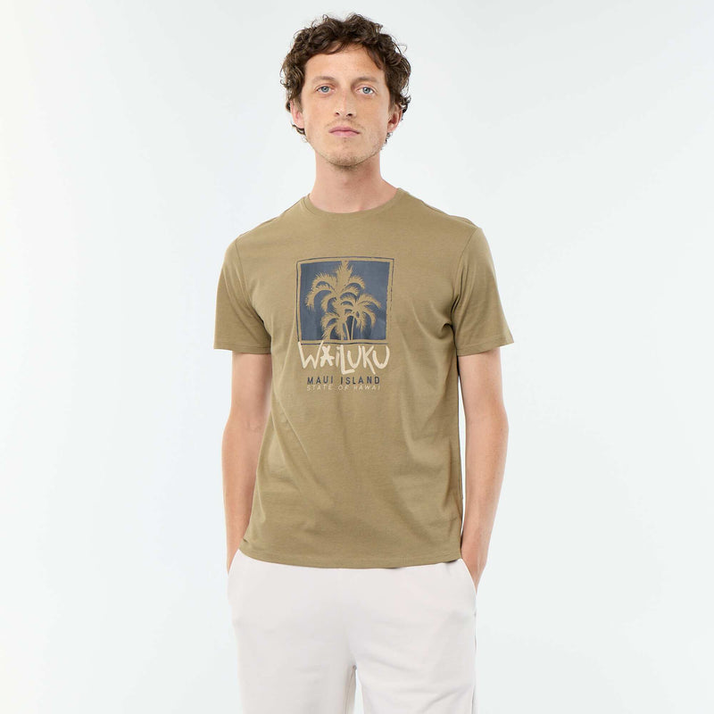 Vert
