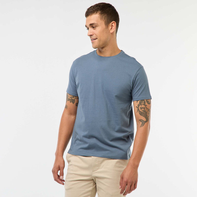 Bleu gris