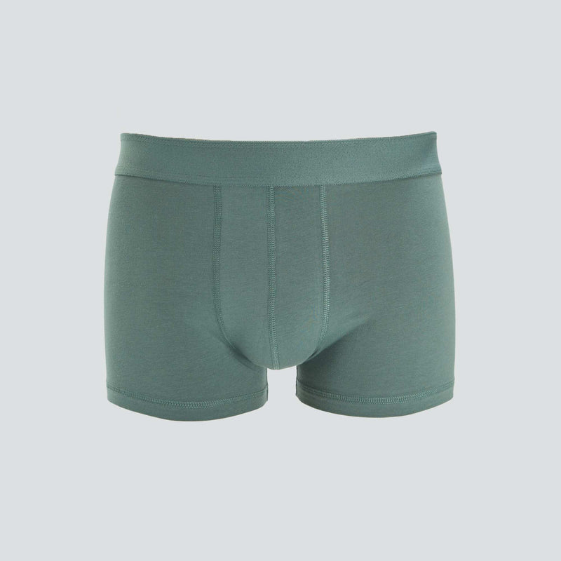 Vert/gris