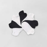 blanc/noir