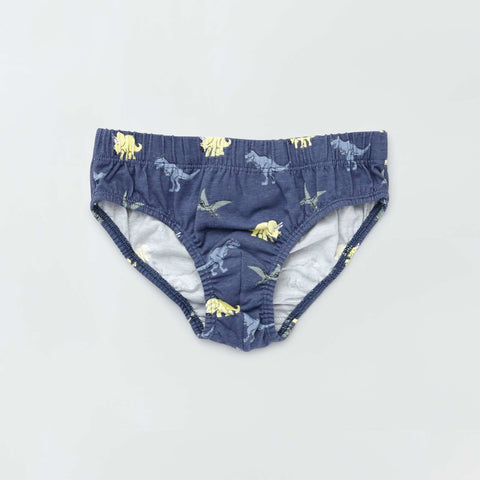 Lot de 5 slips en coton